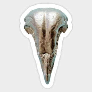 Metal model of a Barn Owl Skull Sticker